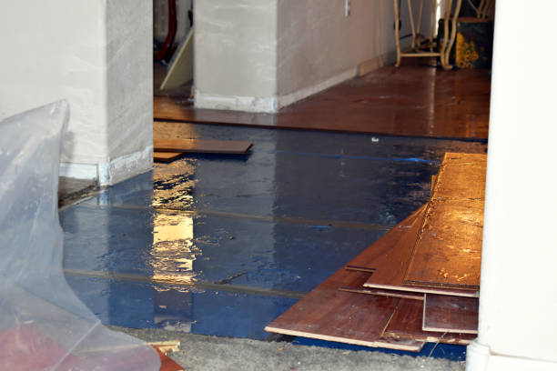 Professional Flood Damage Repair technician working in Grand Terrace, CA